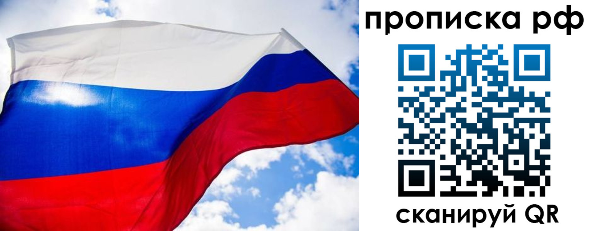найти адрес прописки в Светлогорске